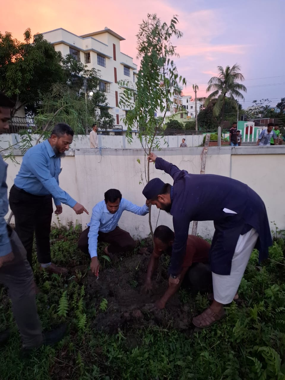 বৃক্ষ রোপন-২০২৫